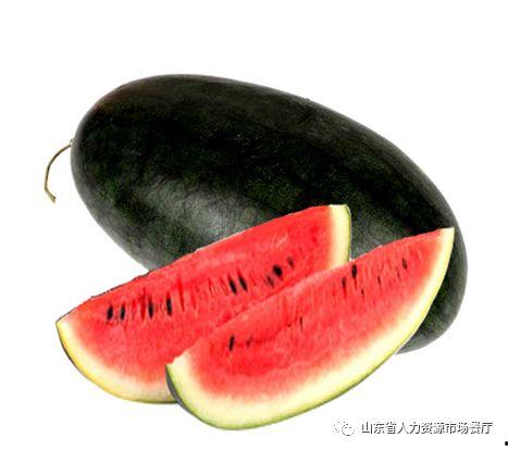 每日吃瓜黑料24小时,24小时吃瓜黑料大汇总