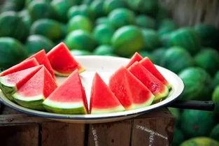 吃瓜大合集黑料色色